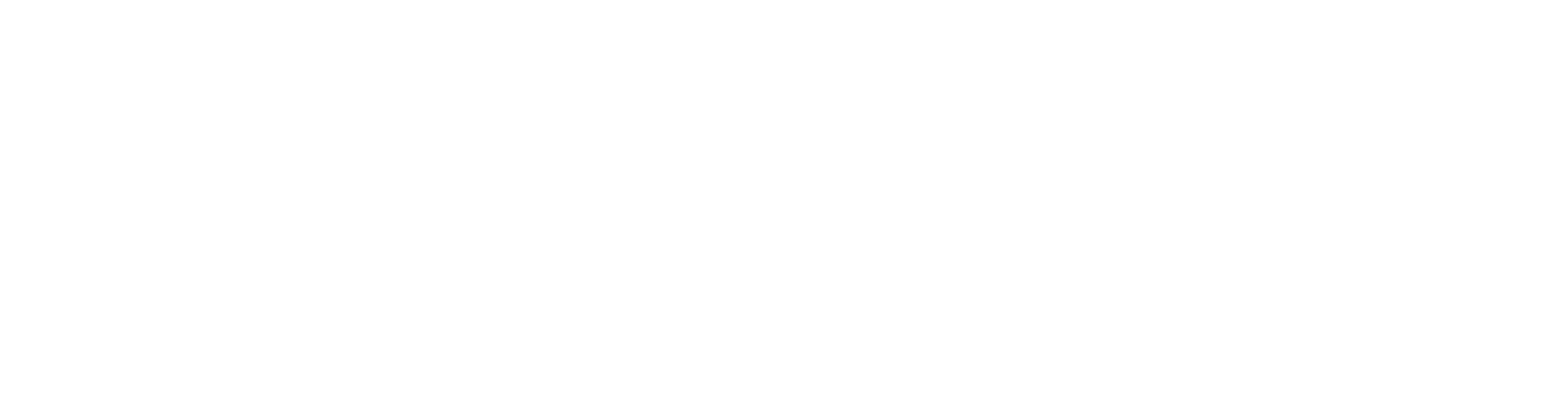 PyDen E-Store